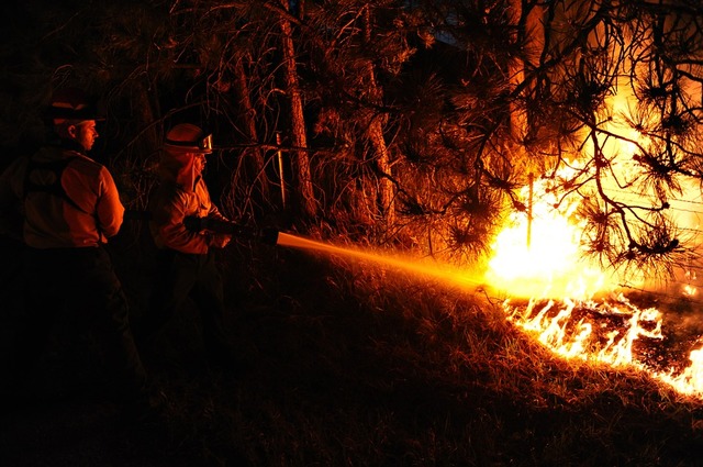 Dichiarazione stato massima pericolosita' incendi boschivi su tutto il territorio regionale